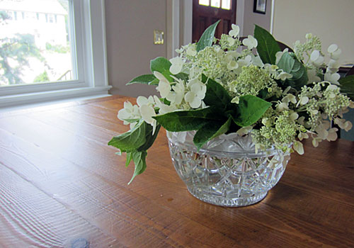 https://www.weknowstuff.us.com Gardening With Kids - Arranging Hydrangeas