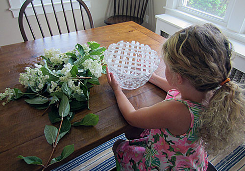 https://www.weknowstuff.us.com Gardening With Kids - Arranging Hydrangeas