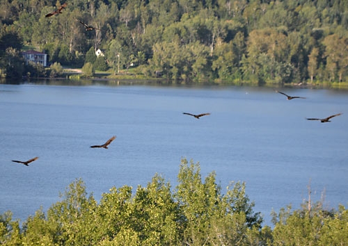 Mont Tremblant, Canada, IMMT, Ironman, www.weknowstuff.us.com