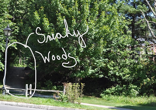 Mont Tremblant, Canada, IMMT, Ironman, www.weknowstuff.us.com