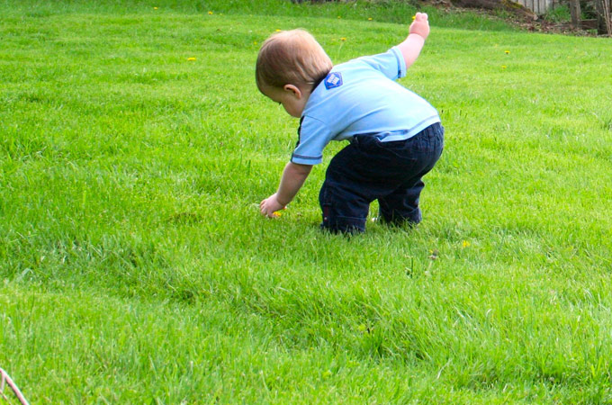 10 Easy Ways To Get Your Kids Involved In Gardening