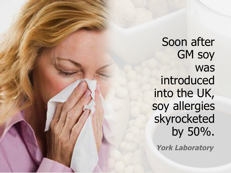 GMOs for dingbats and dolts by Real Food Girl on We Know Stuff